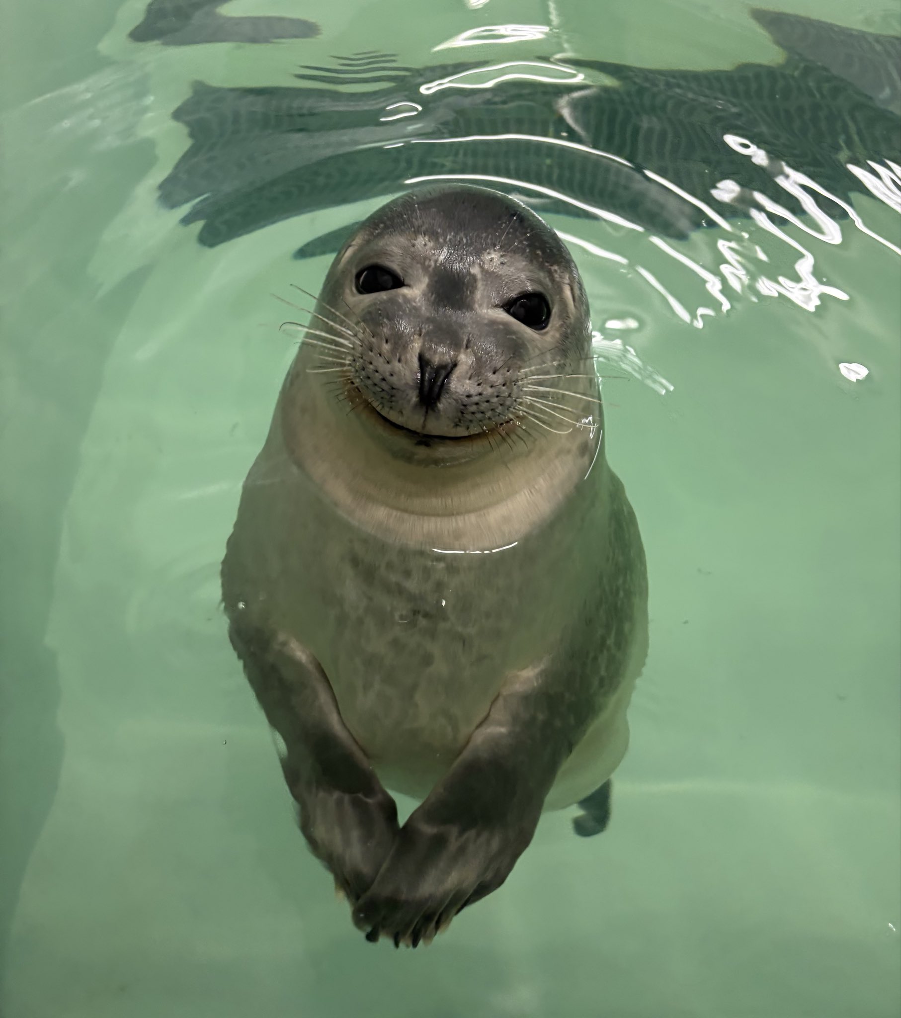 swim away your fears and problems